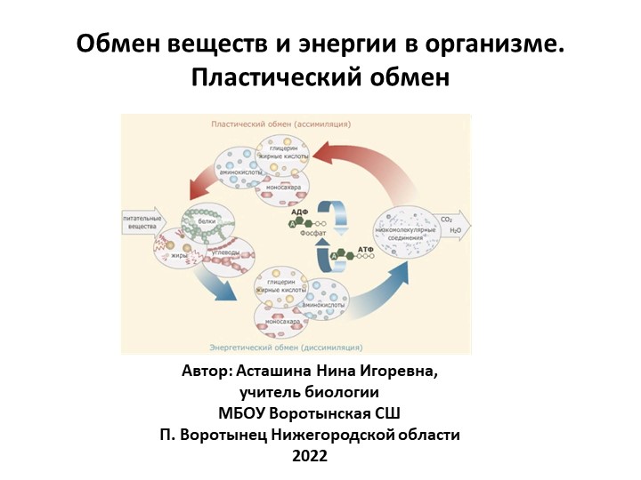 ПРезентация по биологии "Обмен веществ и энергии в организме: пластический обмен: 9 класс  - Скачать презентации бесплатно | Читать или скачать учебники для школы онлайн бесплатно ☑ Школьные учебники school-textbook.com