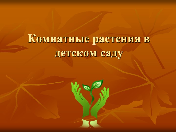 Презентация "Комнатные растения в детском саду " - Скачать презентации бесплатно | Читать или скачать учебники для школы онлайн бесплатно ☑ Школьные учебники school-textbook.com