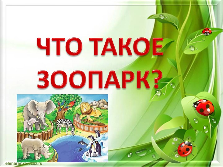 Презентация по окружающему миру на тему "Что такое зоопарк?"(1 класс) - Скачать презентации бесплатно | Читать или скачать учебники для школы онлайн бесплатно ☑ Школьные учебники school-textbook.com
