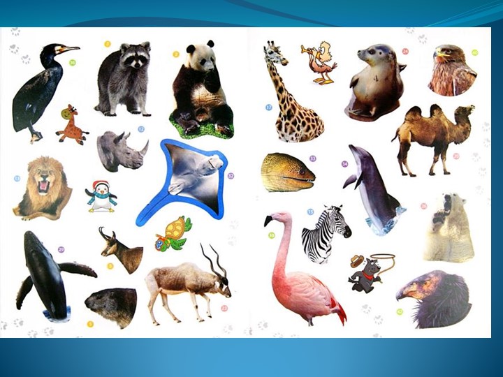 Презентация по английскому языку на тему "Animals 1" 5 класс - Скачать презентации бесплатно | Читать или скачать учебники для школы онлайн бесплатно ☑ Школьные учебники school-textbook.com