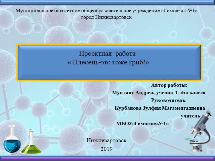 Проект на тему "Плесень-это тоже гриб" - Скачать презентации бесплатно | Читать или скачать учебники для школы онлайн бесплатно ☑ Школьные учебники school-textbook.com