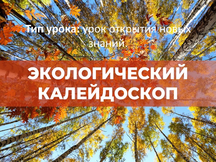 Презентация по окружающему миру "Экологический калейдоскоп", 2класс - Скачать презентации бесплатно | Читать или скачать учебники для школы онлайн бесплатно ☑ Школьные учебники school-textbook.com