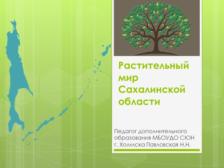 Презентация по краеведению на тему "Растительный мир Сахалинской области" - Скачать презентации бесплатно | Читать или скачать учебники для школы онлайн бесплатно ☑ Школьные учебники school-textbook.com