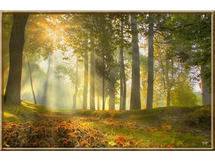 Работа с природным материалом с использованием пластилина. "Ёж." - Скачать презентации бесплатно | Читать или скачать учебники для школы онлайн бесплатно ☑ Школьные учебники school-textbook.com