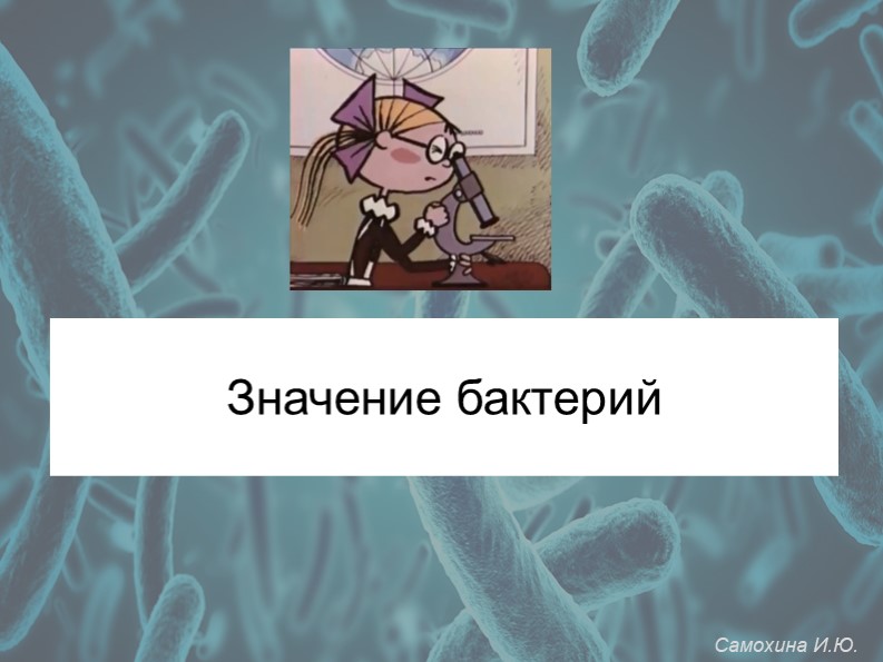 Презентация по биологии на тему "Значение бактерий" (5 класс) - Скачать презентации бесплатно | Читать или скачать учебники для школы онлайн бесплатно ☑ Школьные учебники school-textbook.com