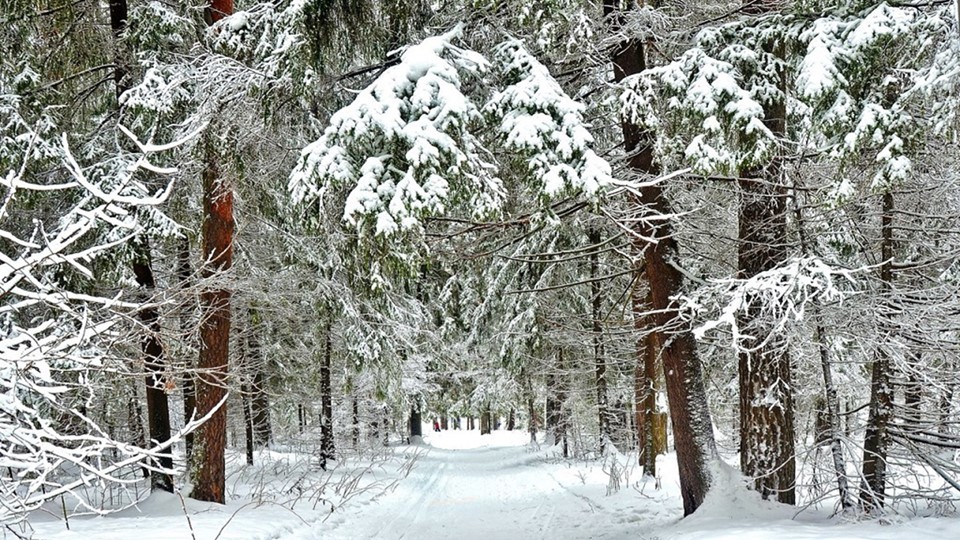 Презентация по окружающему миру на тему "Откуда берётся и куда девается мусор?" (1 урок) - Скачать презентации бесплатно | Читать или скачать учебники для школы онлайн бесплатно ☑ Школьные учебники school-textbook.com