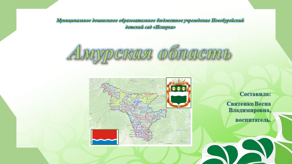 Презентация по экологии "Амурская область" - Скачать презентации бесплатно | Читать или скачать учебники для школы онлайн бесплатно ☑ Школьные учебники school-textbook.com