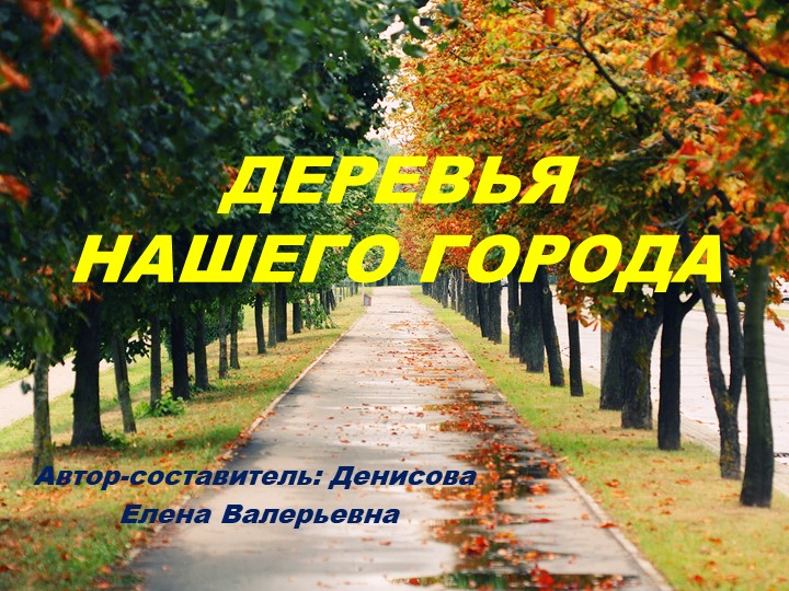 Презентация для детей "Деревья нашего города"  - Скачать презентации бесплатно | Читать или скачать учебники для школы онлайн бесплатно ☑ Школьные учебники school-textbook.com