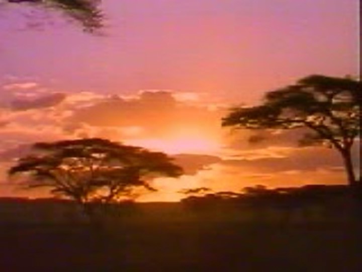 Презентация к уроку географии "Географическое положение африки" - Скачать презентации бесплатно | Читать или скачать учебники для школы онлайн бесплатно ☑ Школьные учебники school-textbook.com