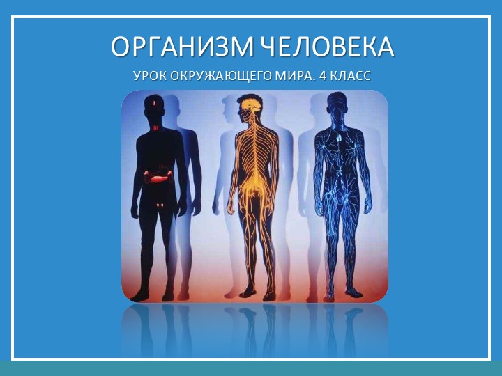 Презентация на тему "Организм человека" - Скачать презентации бесплатно | Читать или скачать учебники для школы онлайн бесплатно ☑ Школьные учебники school-textbook.com