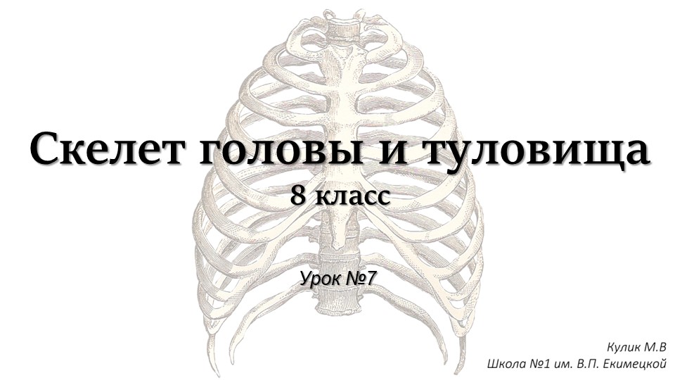 Презентация по биологии на тему "Скелет головы и туловища" (8 класс) - Скачать презентации бесплатно | Читать или скачать учебники для школы онлайн бесплатно ☑ Школьные учебники school-textbook.com