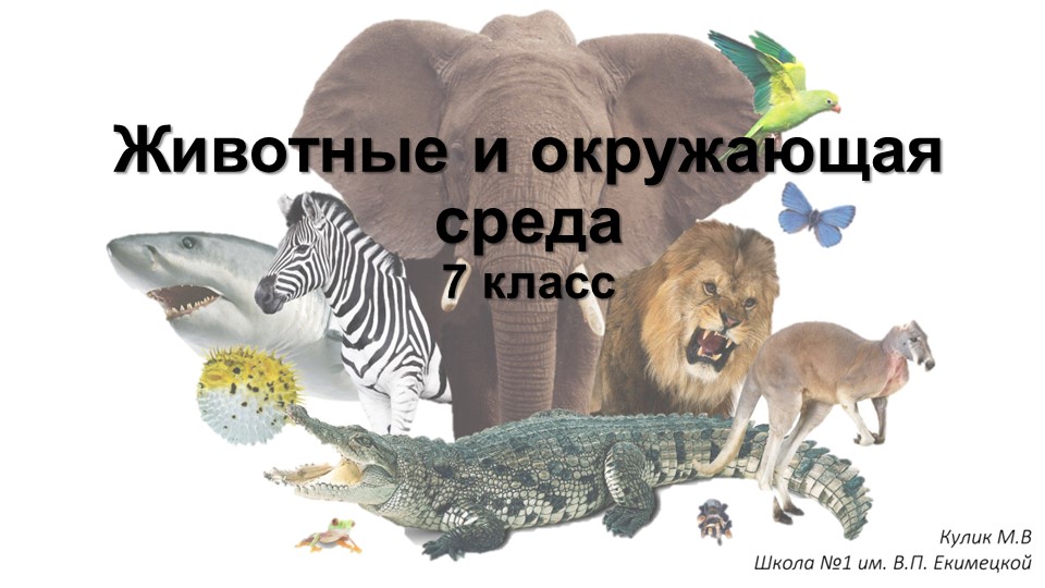 Презентация по биологии на тему "Животные и окружающая среда" (7 класс) - Скачать презентации бесплатно | Читать или скачать учебники для школы онлайн бесплатно ☑ Школьные учебники school-textbook.com