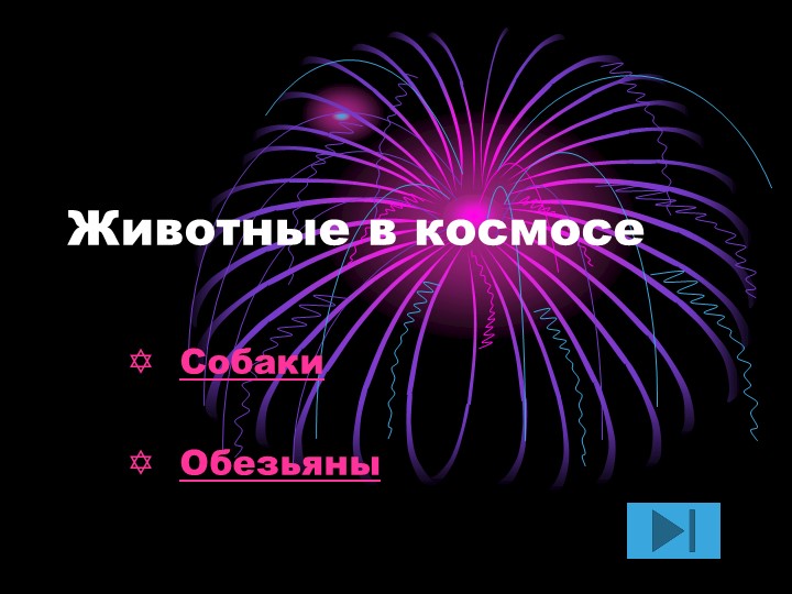 "Животные в космосе " неделя физики  - Скачать презентации бесплатно | Читать или скачать учебники для школы онлайн бесплатно ☑ Школьные учебники school-textbook.com