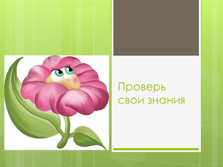 Презентация на тему: " Ты цветовод?" - Скачать презентации бесплатно | Читать или скачать учебники для школы онлайн бесплатно ☑ Школьные учебники school-textbook.com