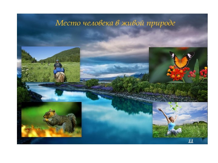 Презентация на тему "Место человека в природе" - Скачать презентации бесплатно | Читать или скачать учебники для школы онлайн бесплатно ☑ Школьные учебники school-textbook.com