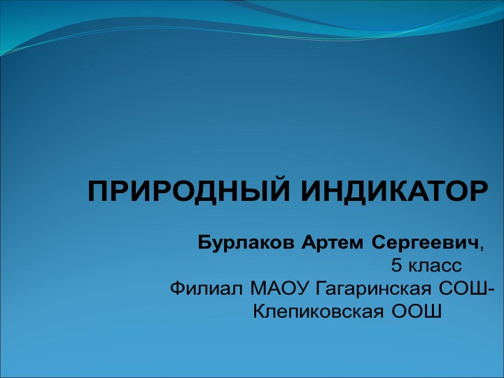 Презентация исследовательской работы Природный индикатор - Скачать презентации бесплатно | Читать или скачать учебники для школы онлайн бесплатно ☑ Школьные учебники school-textbook.com