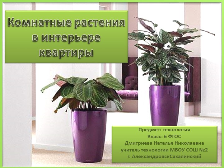 Презентация по технолонии на тему "Комнатные растения" - Скачать презентации бесплатно | Читать или скачать учебники для школы онлайн бесплатно ☑ Школьные учебники school-textbook.com