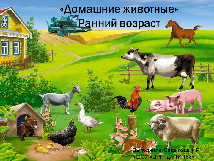 Презентация на тему " Домашние животные" - Скачать презентации бесплатно | Читать или скачать учебники для школы онлайн бесплатно ☑ Школьные учебники school-textbook.com