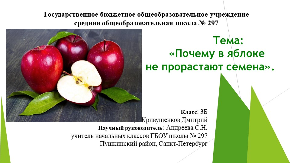 Презентация к уроку Окружающего мира на тему "Почему в яблоке не прорастают семена?" 3 класс ФГОС - Скачать презентации бесплатно | Читать или скачать учебники для школы онлайн бесплатно ☑ Школьные учебники school-textbook.com