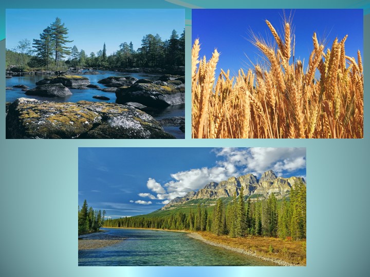 Презентация к исследовательской работе по теме "Занятость населения Красноярского края на примере Уярского района""  - Скачать презентации бесплатно | Читать или скачать учебники для школы онлайн бесплатно ☑ Школьные учебники school-textbook.com