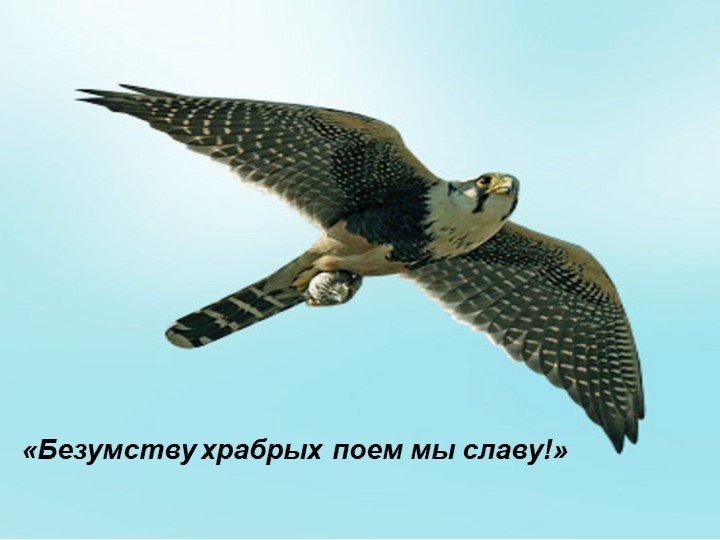 "Песнь о Соколе" презентация - Скачать презентации бесплатно | Читать или скачать учебники для школы онлайн бесплатно ☑ Школьные учебники school-textbook.com