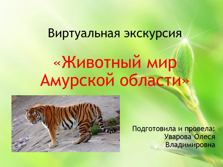 Презентация "Виртуальная экскурсия "Животный мир Амурской области" - Скачать презентации бесплатно | Читать или скачать учебники для школы онлайн бесплатно ☑ Школьные учебники school-textbook.com