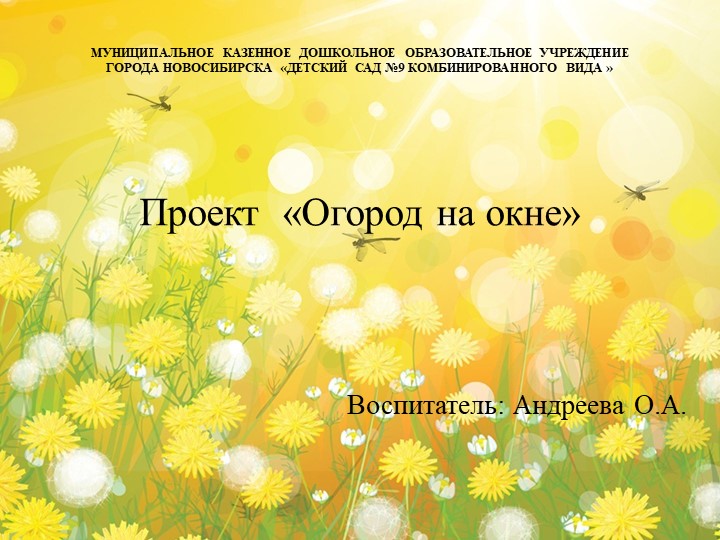 Презентация "Проект "Огород на окне"  - Скачать презентации бесплатно | Читать или скачать учебники для школы онлайн бесплатно ☑ Школьные учебники school-textbook.com
