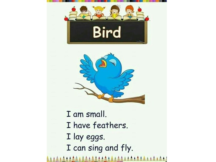 Презентация по теме " Животные" - Скачать презентации бесплатно | Читать или скачать учебники для школы онлайн бесплатно ☑ Школьные учебники school-textbook.com