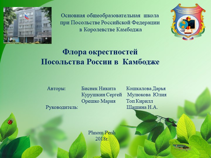 Исследовательская работа "Флористический путеводитель" - Скачать презентации бесплатно | Читать или скачать учебники для школы онлайн бесплатно ☑ Школьные учебники school-textbook.com