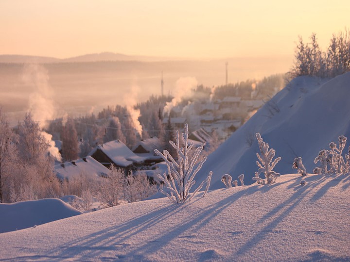 Презентация по окружающему миру на тему "Умей предупреждать болезни" - Скачать презентации бесплатно | Читать или скачать учебники для школы онлайн бесплатно ☑ Школьные учебники school-textbook.com