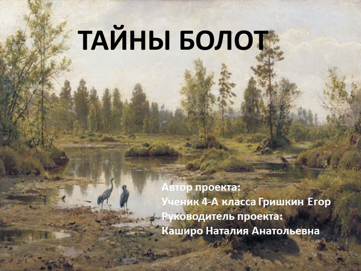 Презентация проекта "Тайны болот" - Скачать презентации бесплатно | Читать или скачать учебники для школы онлайн бесплатно ☑ Школьные учебники school-textbook.com