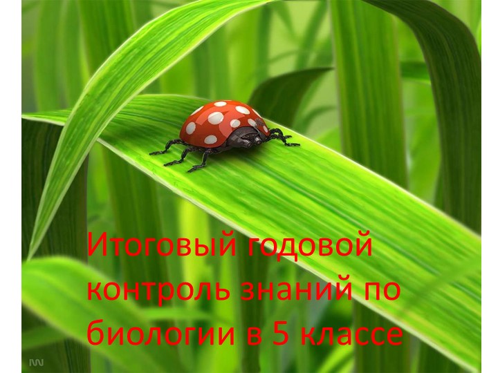 Презентация "Итоговая контрольная работа в 5 классе" - Скачать презентации бесплатно | Читать или скачать учебники для школы онлайн бесплатно ☑ Школьные учебники school-textbook.com