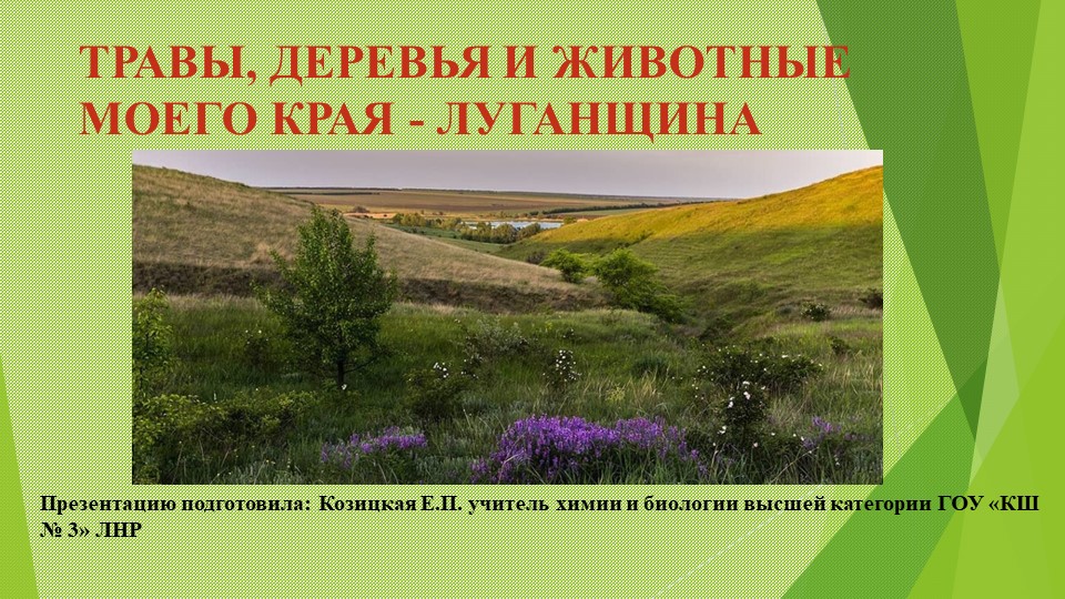 Презентация по биологии (географии) на тему "Травы, деревья и животные моего края - Луганщина". - Скачать презентации бесплатно | Читать или скачать учебники для школы онлайн бесплатно ☑ Школьные учебники school-textbook.com