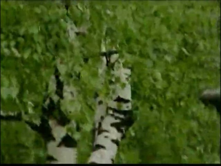 Презентация Вечер есенинской поэзии - Скачать презентации бесплатно | Читать или скачать учебники для школы онлайн бесплатно ☑ Школьные учебники school-textbook.com