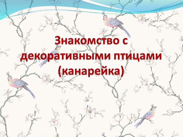 Презентация по познавательному развитию. Знакомство с декоративными птицами - Скачать презентации бесплатно | Читать или скачать учебники для школы онлайн бесплатно ☑ Школьные учебники school-textbook.com