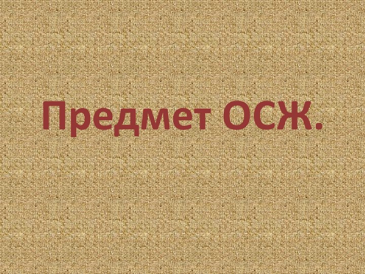 Презентация по ОСЖ на тему "Предмет ОСЖ" - Скачать презентации бесплатно | Читать или скачать учебники для школы онлайн бесплатно ☑ Школьные учебники school-textbook.com