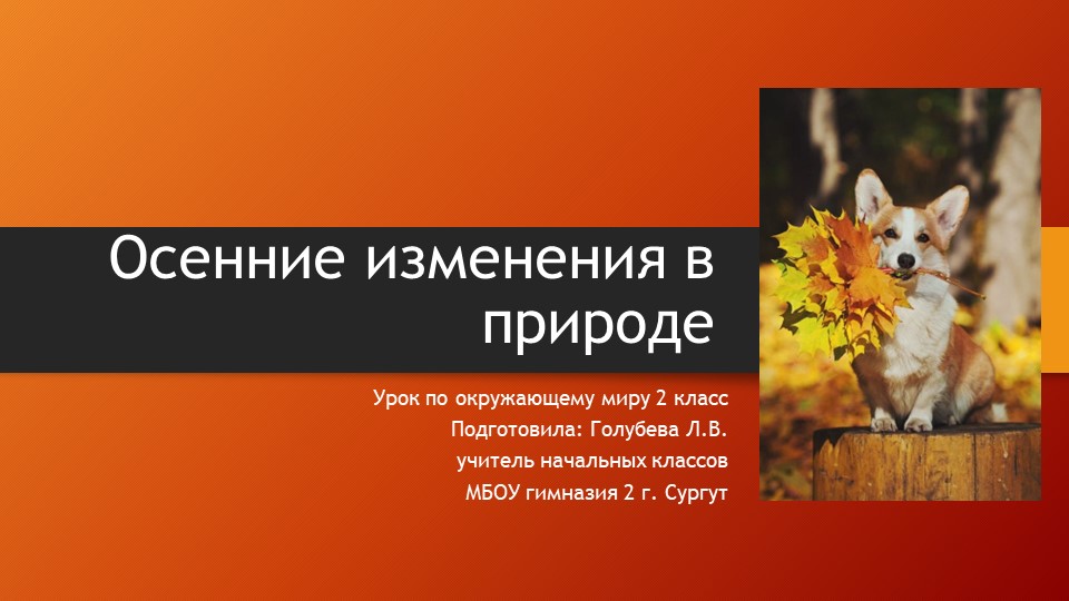 Презентация для урока по окружающему миру "Осенние изменения в природе"  - Скачать презентации бесплатно | Читать или скачать учебники для школы онлайн бесплатно ☑ Школьные учебники school-textbook.com