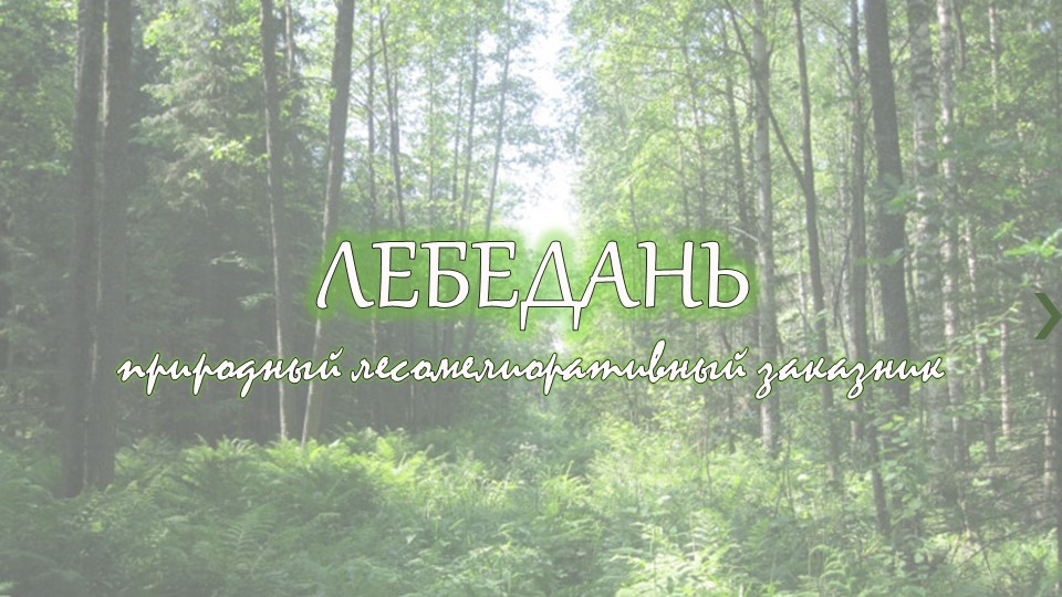 "Презентация к уроку ИКН (Республика Марий Эл) "Озеро Лебедань"" - Скачать презентации бесплатно | Читать или скачать учебники для школы онлайн бесплатно ☑ Школьные учебники school-textbook.com