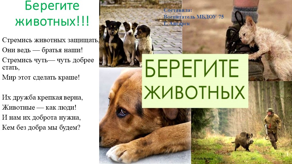 Презентация окружающий мир "Берегите животных" - Скачать презентации бесплатно | Читать или скачать учебники для школы онлайн бесплатно ☑ Школьные учебники school-textbook.com