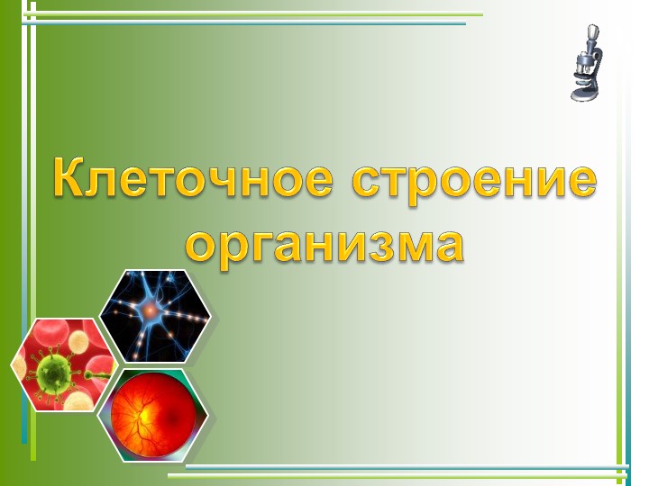 Презентация на тему "Клеточное строение" - Скачать презентации бесплатно | Читать или скачать учебники для школы онлайн бесплатно ☑ Школьные учебники school-textbook.com
