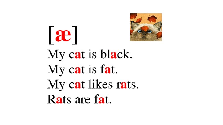 Презентация "Parts of the body" 5 класс - Скачать презентации бесплатно | Читать или скачать учебники для школы онлайн бесплатно ☑ Школьные учебники school-textbook.com