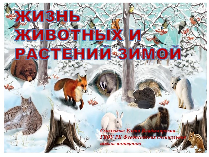 Презентация коррекционного воспитательского занятия "Жизнь животных и растений зимой" - Скачать презентации бесплатно | Читать или скачать учебники для школы онлайн бесплатно ☑ Школьные учебники school-textbook.com