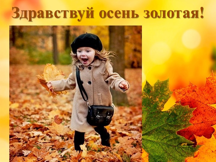 Презентация "Осень в старшей группе" - Скачать презентации бесплатно | Читать или скачать учебники для школы онлайн бесплатно ☑ Школьные учебники school-textbook.com