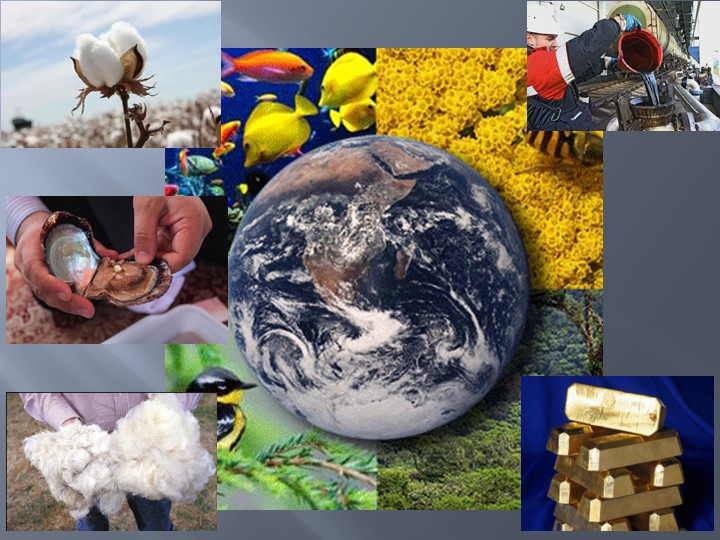 Презентация к уроку английского языка по теме Natural Treasures умк Вербицкая 5 класс - Скачать презентации бесплатно | Читать или скачать учебники для школы онлайн бесплатно ☑ Школьные учебники school-textbook.com