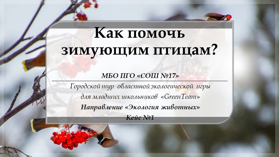 Презентация учащихся 3 класса Как помочь зимующим птицам? - Скачать презентации бесплатно | Читать или скачать учебники для школы онлайн бесплатно ☑ Школьные учебники school-textbook.com