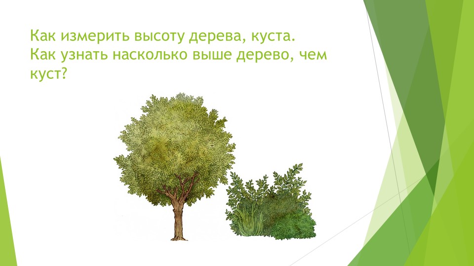 Презентация к уроку математики в 1 классе на тему "Сантиметр". - Скачать презентации бесплатно | Читать или скачать учебники для школы онлайн бесплатно ☑ Школьные учебники school-textbook.com