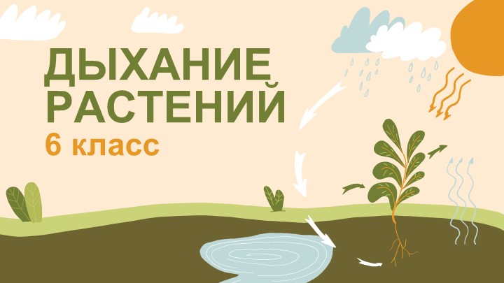 Презентация по биологии на тему "Дыхание растений" (6 класс) - Скачать презентации бесплатно | Читать или скачать учебники для школы онлайн бесплатно ☑ Школьные учебники school-textbook.com