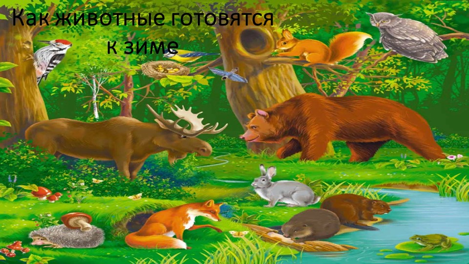 Презентация "Как животные готовятся к зиме" - Скачать презентации бесплатно | Читать или скачать учебники для школы онлайн бесплатно ☑ Школьные учебники school-textbook.com