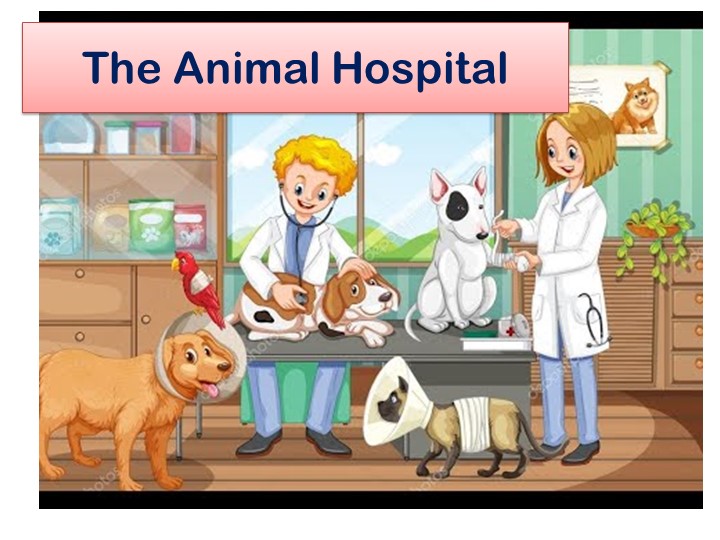 Презентация по английскому языку "The Animal Hospital" (4 класс) - Скачать презентации бесплатно | Читать или скачать учебники для школы онлайн бесплатно ☑ Школьные учебники school-textbook.com