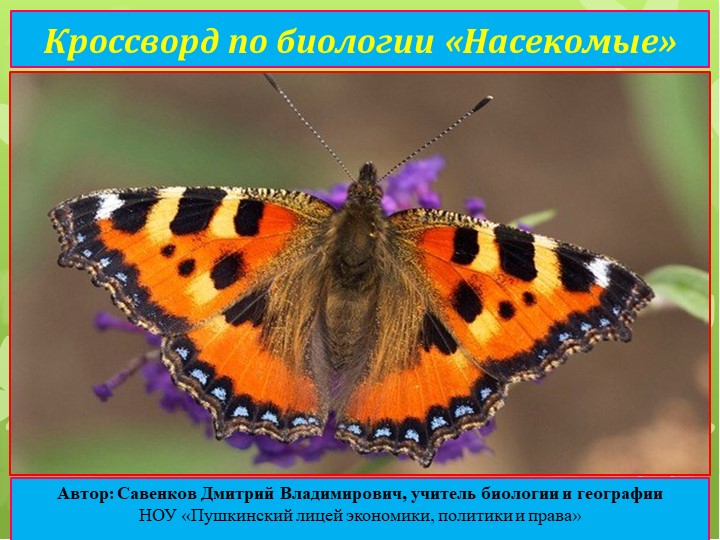 Кроссворд по биологии "Насекомые".  - Скачать презентации бесплатно | Читать или скачать учебники для школы онлайн бесплатно ☑ Школьные учебники school-textbook.com